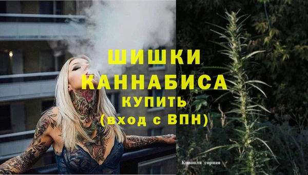 мет Лагань