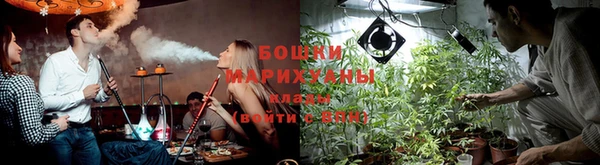 мяу мяу мука Ладушкин